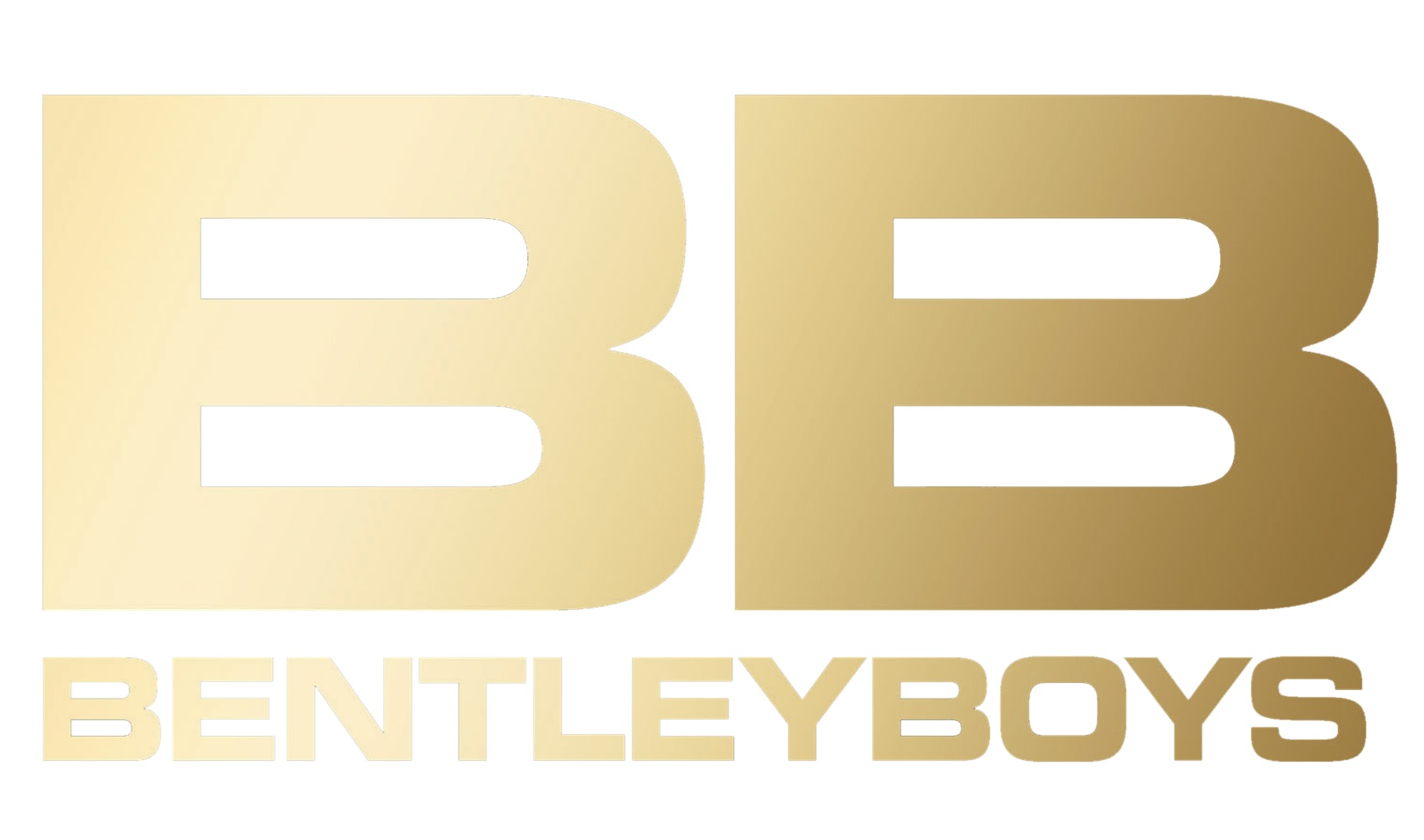 Logo 1